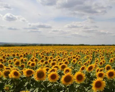 Le Manoir Du Murier Lantställe Boisredon