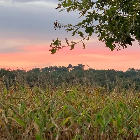 Lantställe Le Manoir Du Murier